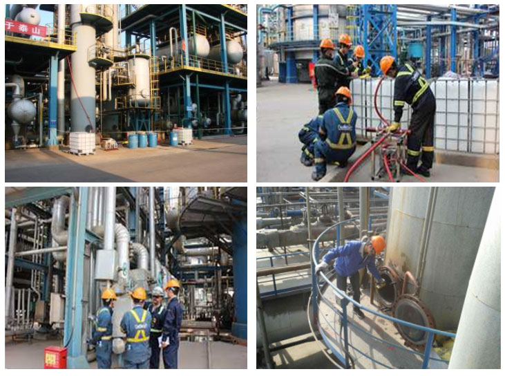 1496649586206491.jpg -1.jpg